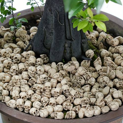 25pcs/50pcs/90pcs/200pcs Random Unique Decorative Skull Statues for Planters - Miniature Skull Ornaments, Home Decoration Figurines, Outdoor Statues, Cute Garden Decor , Plant Pot Additions, Halloween Decoration Gift