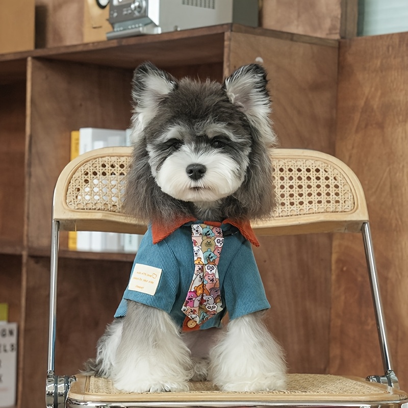 una camicia retrò americana con di abbinamento dei colori con