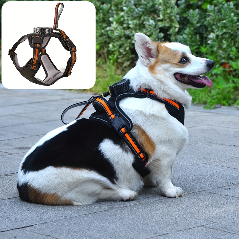 All-in-One Dog Harness, Collar, and Leash Set