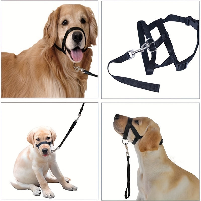 Nose lead outlet leash