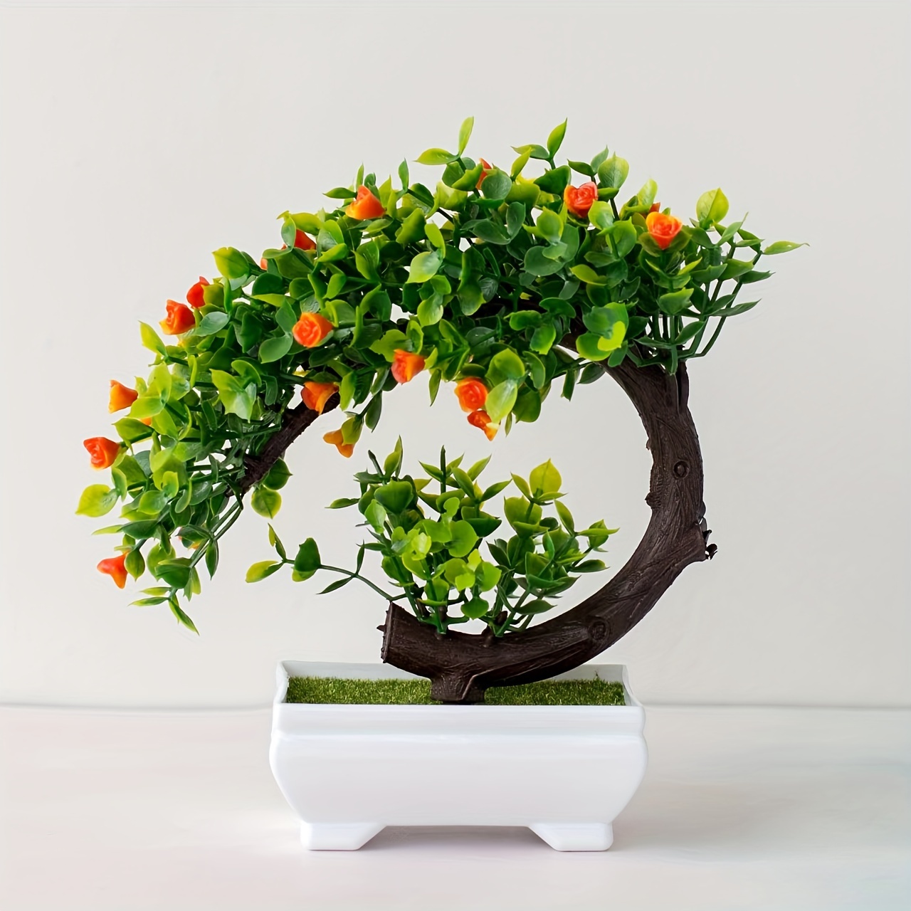 Charmante mini-bonsai in de vorm van een halve maan