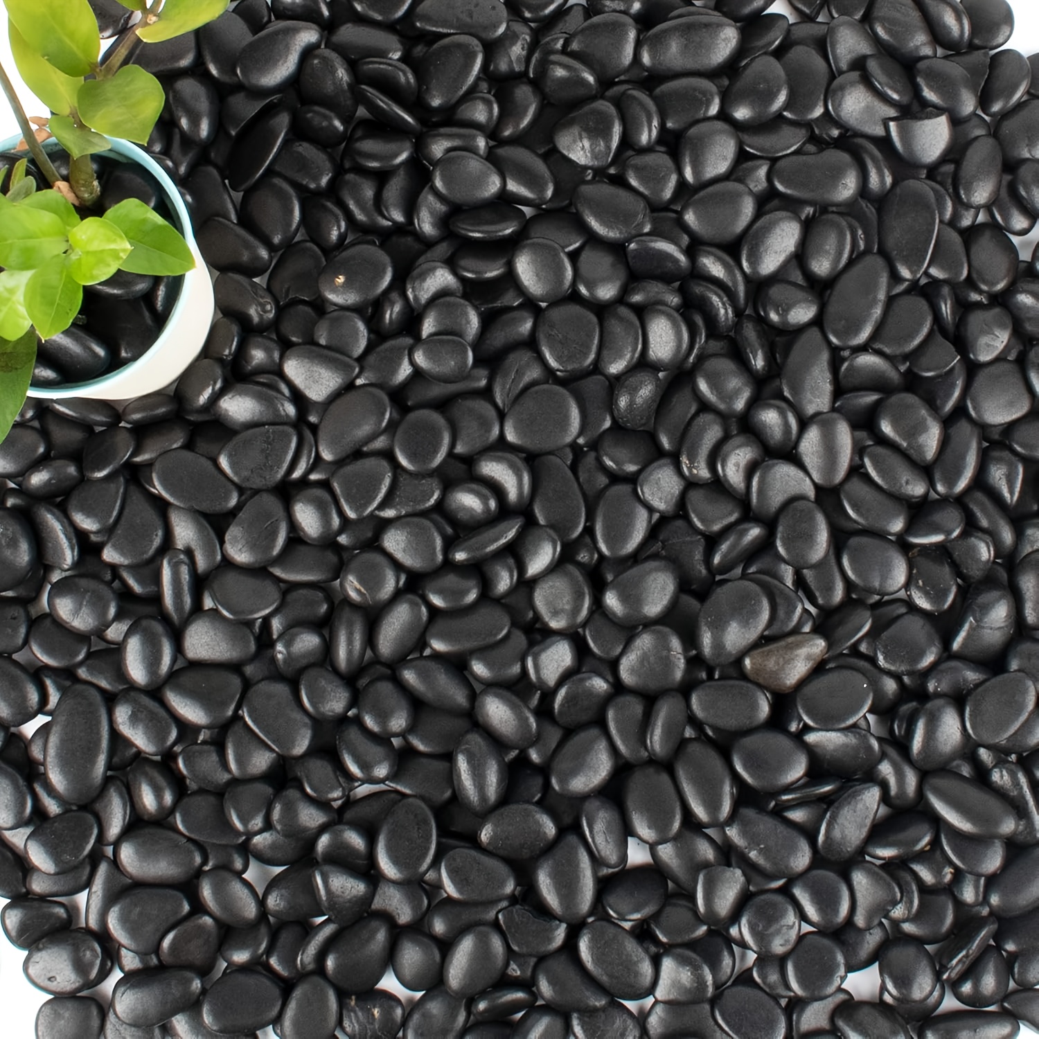 

Galets Noirs pour Aquariums & - Pierres de , Sac de 0.55/2lb, Idéal pour la Décoration d'Aquariums, Remplissage de Vases et Extérieurs