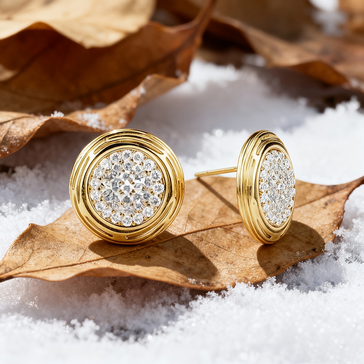 Women's Lightweight Luxury Micro-Set Earrings, Daily Gift