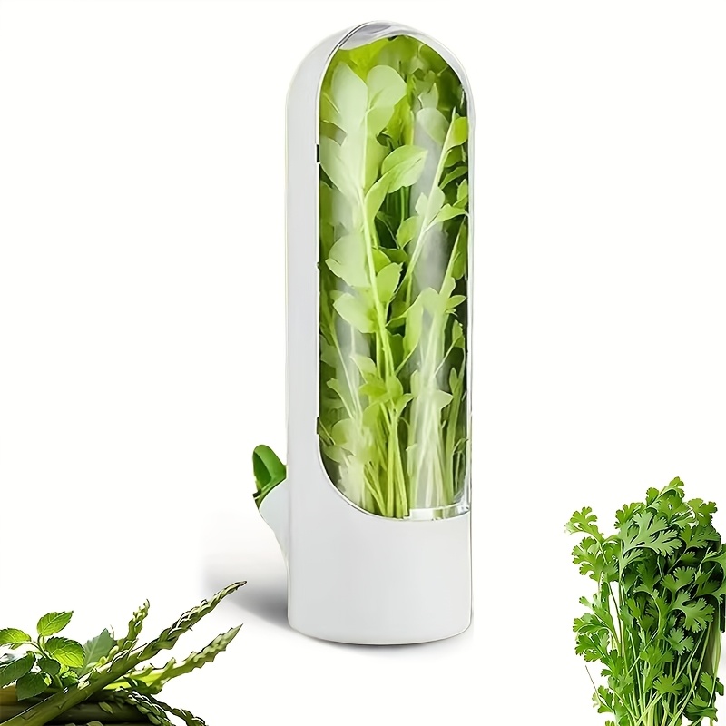 TEMU Large Size Refrigerated Preservation Box, Refrigerated Preservation Storage Box, Herbal Preservation Box, Preservation Box, Parsley, , Mint
