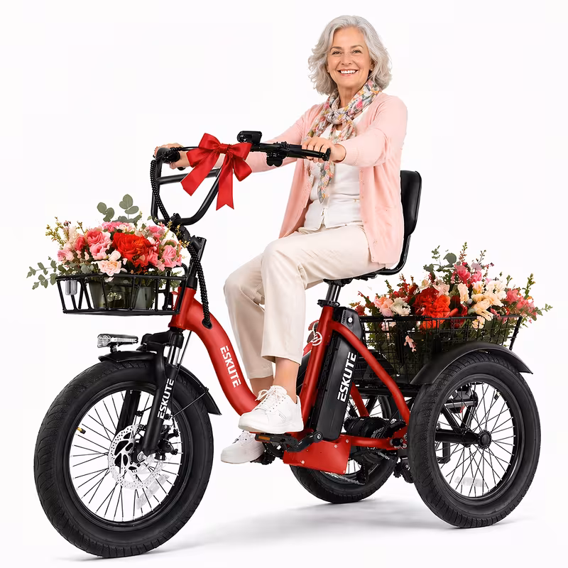 gifts festivals e three wheeled electric bicycle folding 18x3 0 wide tires long range 624wh battery Product details 0