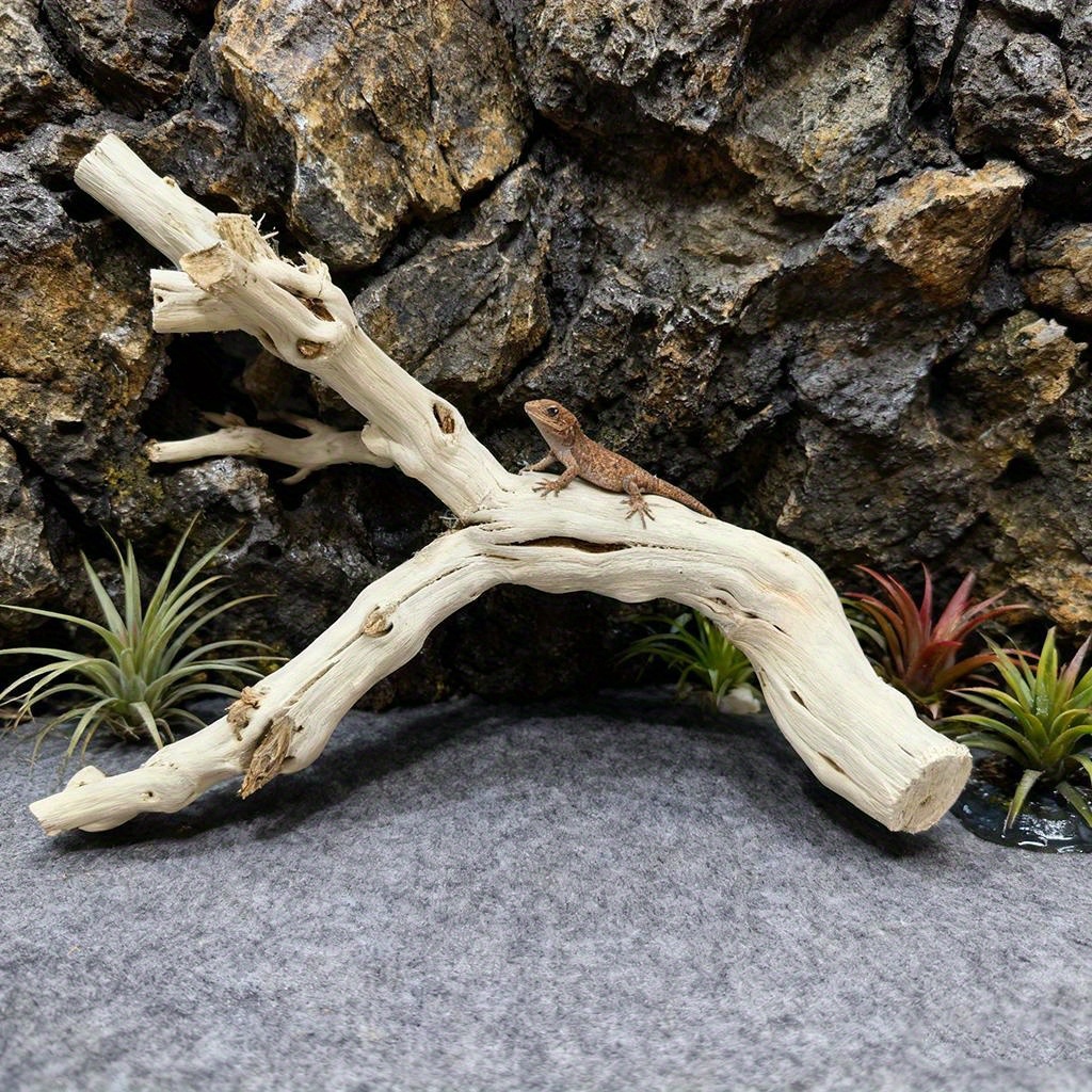 Natural Wood Hideout for Gecko & Bearded Dragon