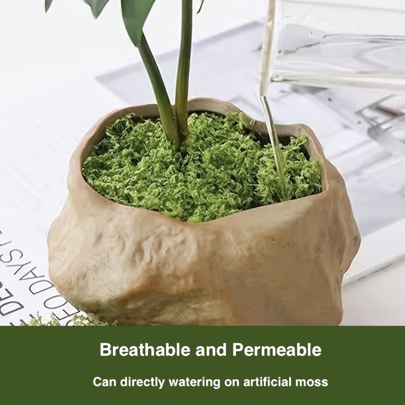 blumenerde bambus Bambus für den Balkon kaufen – Green Me Up main image 0
