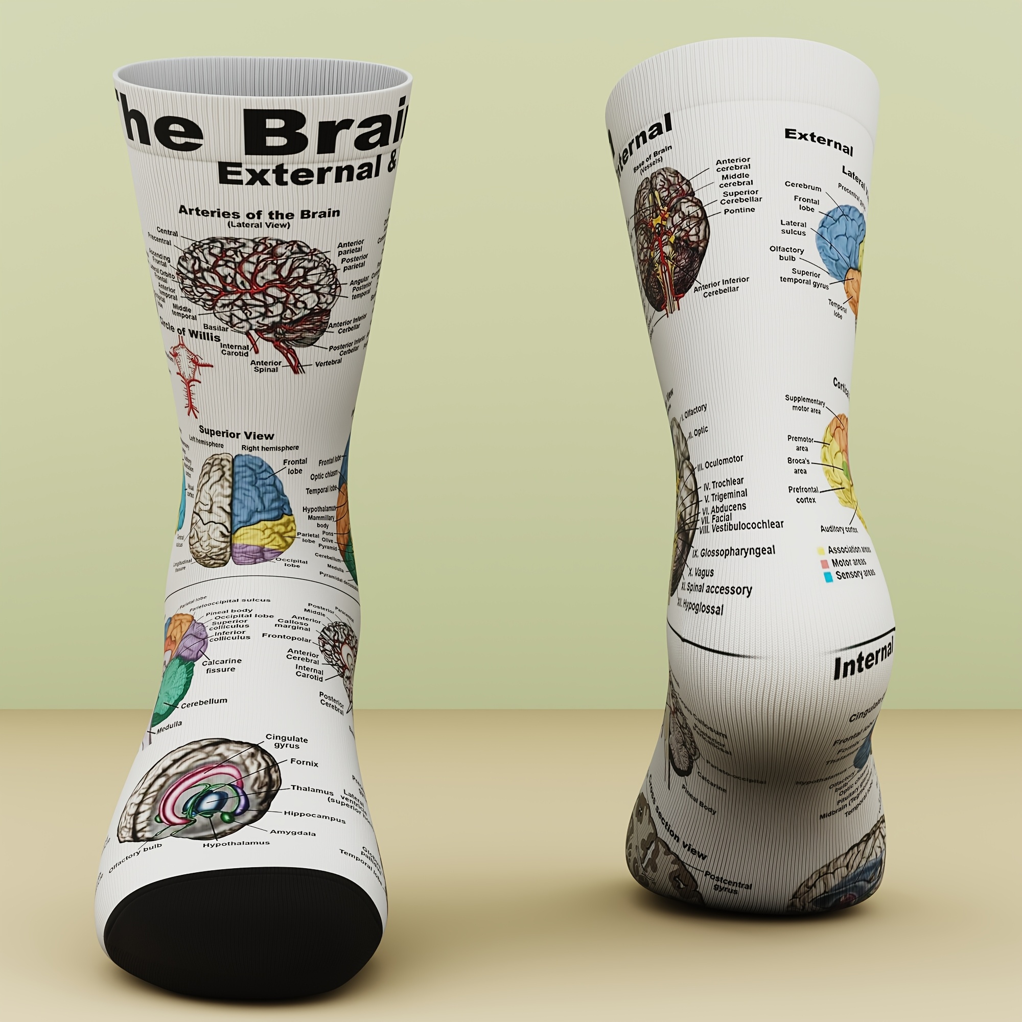 TEMU 1 Pair Of Unisex Socks, Medical Anatomy Themed Pattern, Outdoor Casual Sports, Fashionable, Comfortable And Breathable, Suitable For , Machine