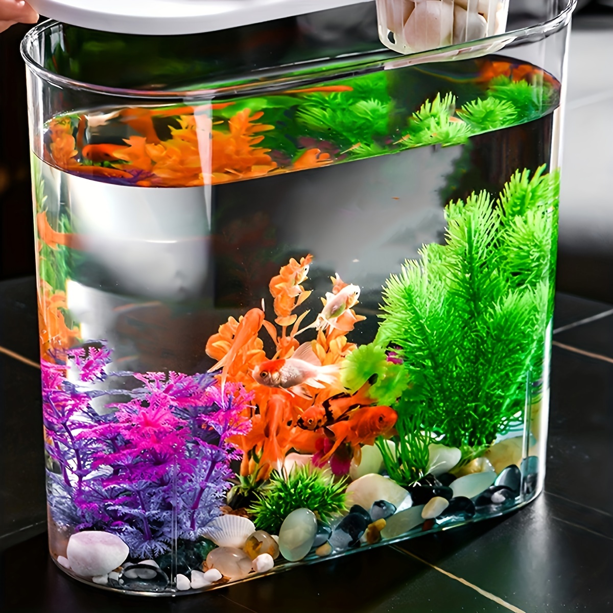 Small Plastic Aquariums for Kids, Set of 4, Single Fish Aquariums in A ·  Art Creativity