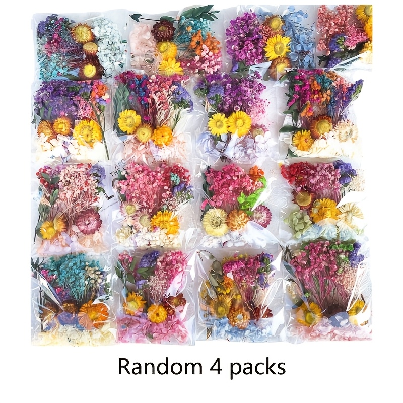 TEMU 4 Packs Random Color Dried Flower Kits, Natural Real Preserved Flowers. Ideal For Round , Dried Flower Painting, Greeting Card , Mini Bouquets