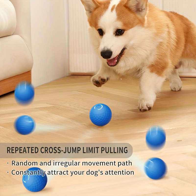 Juguetes interactivos de pelota para perro, juguetes de bola rodante a -  VIRTUAL MUEBLES