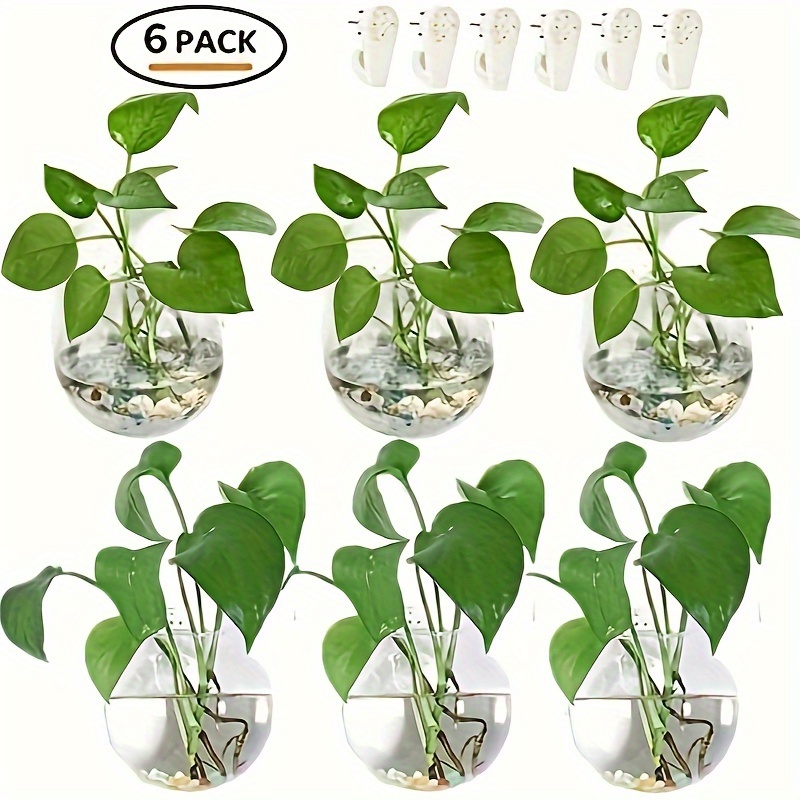 TEMU 6pcs Glass Flower Pots, Wall Hanging Flower Pots, Round Glass Flower Pots, Hanging Pots, Vases, Air Plant Aquariums, Wall Hanging Plant