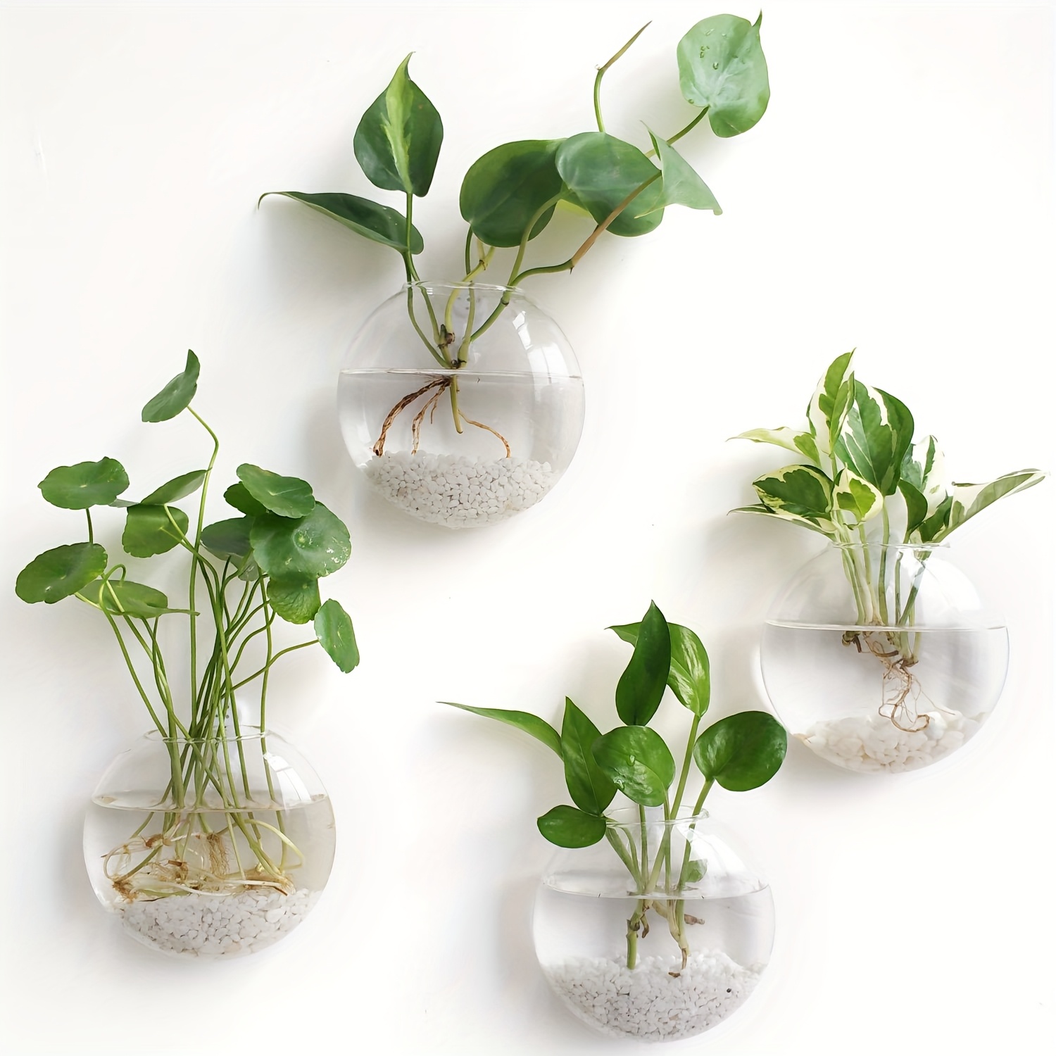 2pcs 4pcs wall mounted glass vase set for hydroponic plants home office living room decor round planters for indoor and outdoor use   housewarming gifts or plant themed d cor