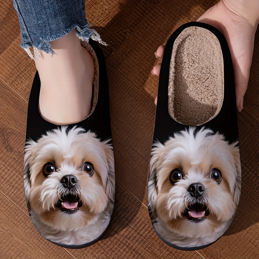 Dfcc3a13 Ff70 4742 B62d F605f44d6671