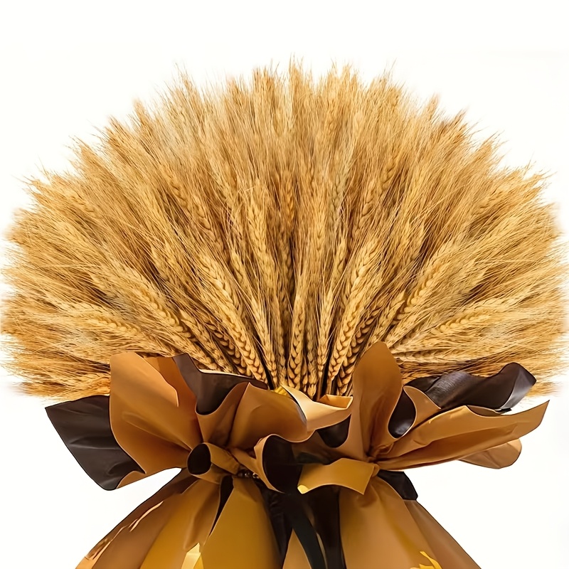 168pcs Dried Natural Wheats Reeds Plants, Diy Flower For Festival , Rustic Pampas Grass Suit Table Vase Bottle , For Wedding Party Holiday Decoration, Celebration Gift Perfect