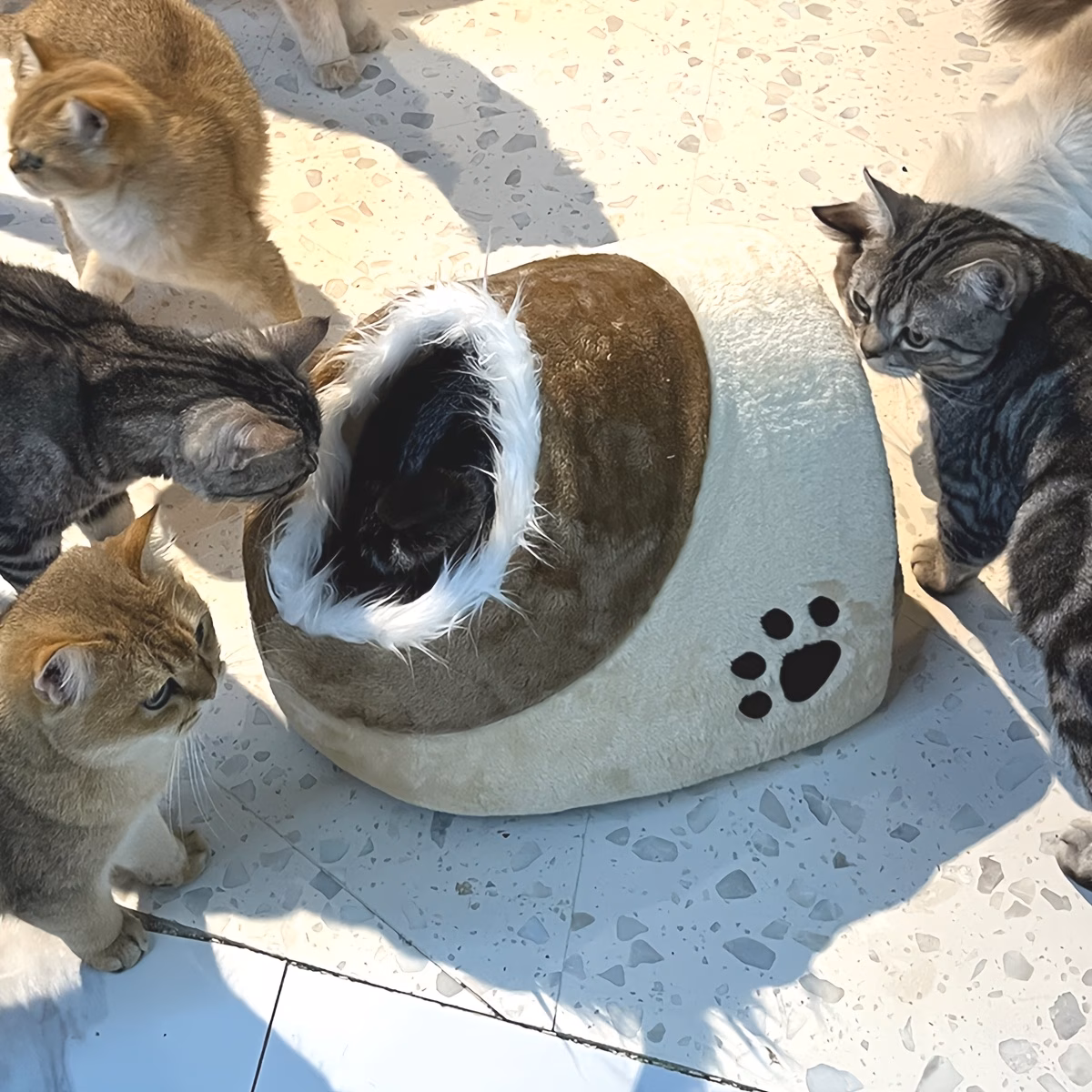 soft plush cave cat bed with fluffy trim entrance warm enclosed pet sleeping nest cozy hideaway shelter for indoor kittens small cats Product details 0