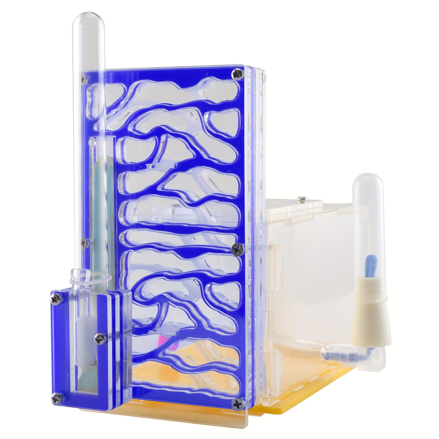 TEMU With Feeding Area Nest Farm Acrylic, Insect Nests For House
