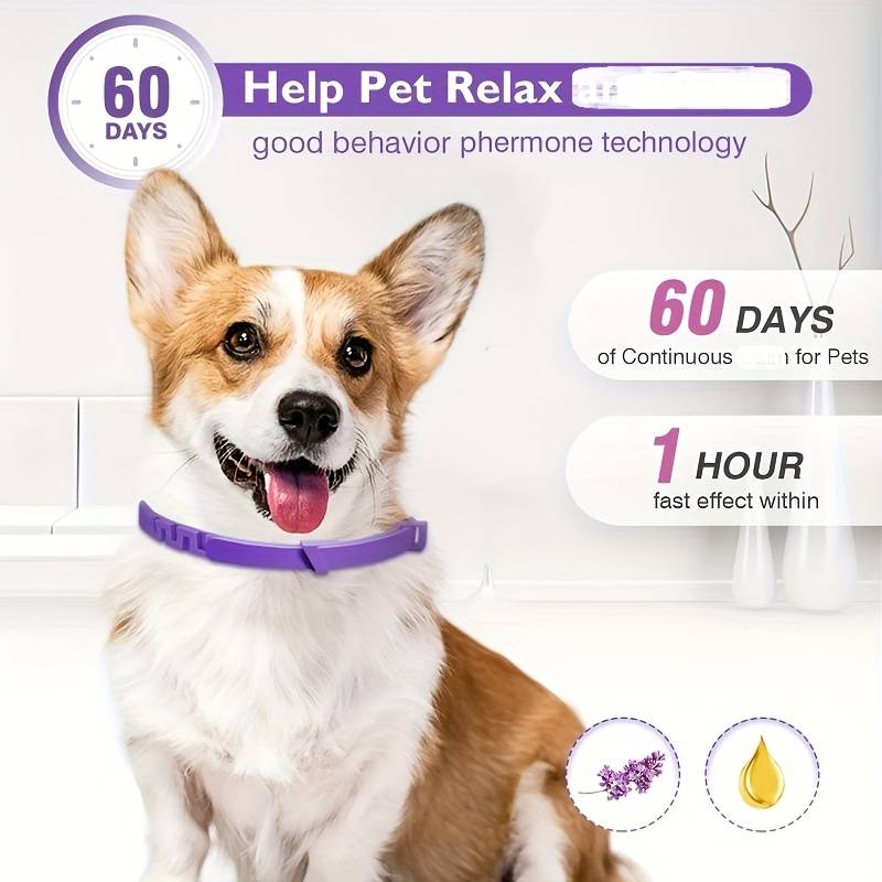 Collier Apaisant Pour Chats Et Chiens - Anti-stress, Aux Phéromones, Réglable Et étanche - Calme Anxiété, Voyages, Feux D’artifice, Visites Vétérinaire