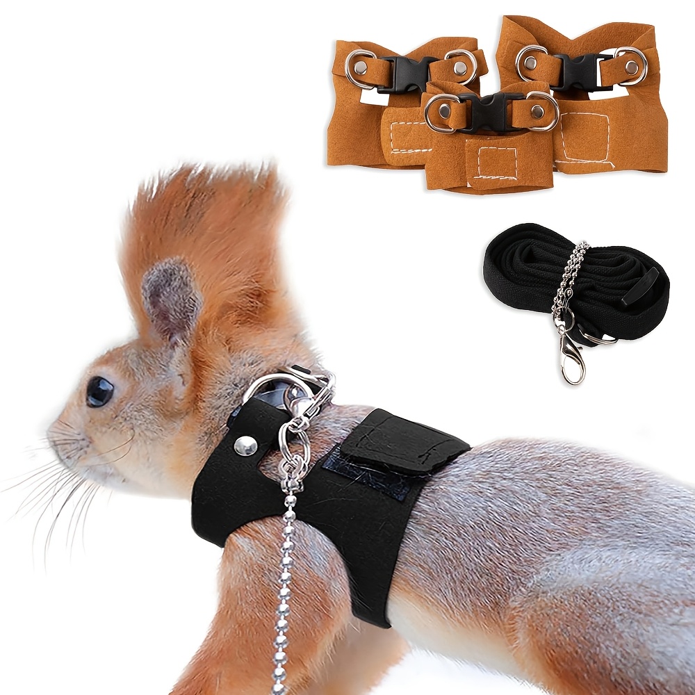 St. Patrick's Day Haustier-Kostüme – 4-teilig Mit Hüten & Bandanas Für Kaninchen, Hamster, Meerschweinchen | Größen S & L