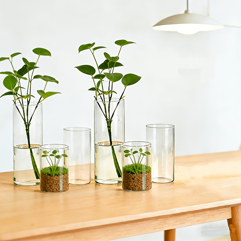 E-shop 6-teiliges Glas-Orkanvasen-Set, geeignet für Kerzenhalter & Blumen-Tischdekoration, runde Zylindervasen im minimalistischen Stil für Hochzeiten,