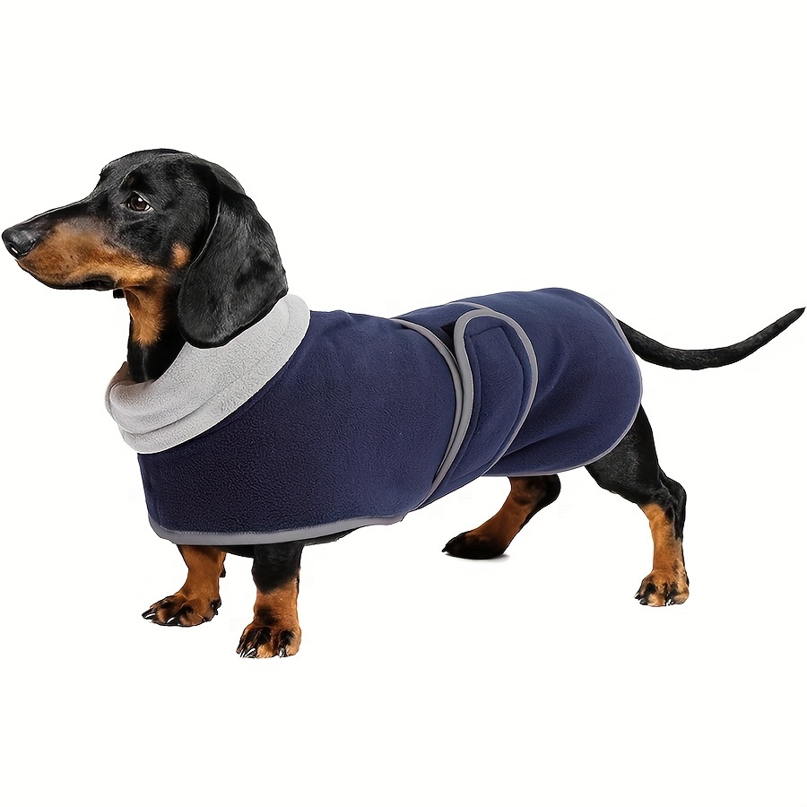 

Cozy Fleece-lined Dog Jacket For Dachshunds - High Collar, Adjustable Straps, Winter & Spring/fall - Navy, Snowsuit, Padded