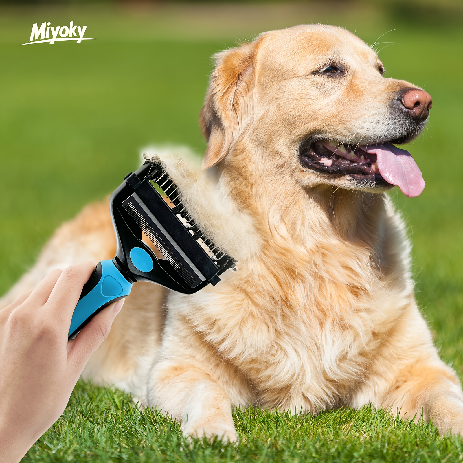 Grooming Deshedding A Golden Retriever Miyoky In Professional - Main Image