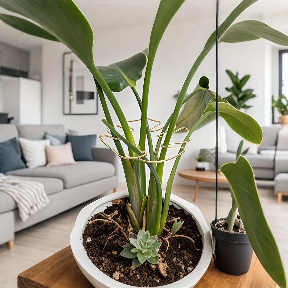 Plant Stem Support - Durable Monstera Stabilizer Grab Bar, Unique Climbing Plant Design, Turtle-Shell Bungie Kit, Ideal Plant Support for Healthy Growth, Decorative Plant Support