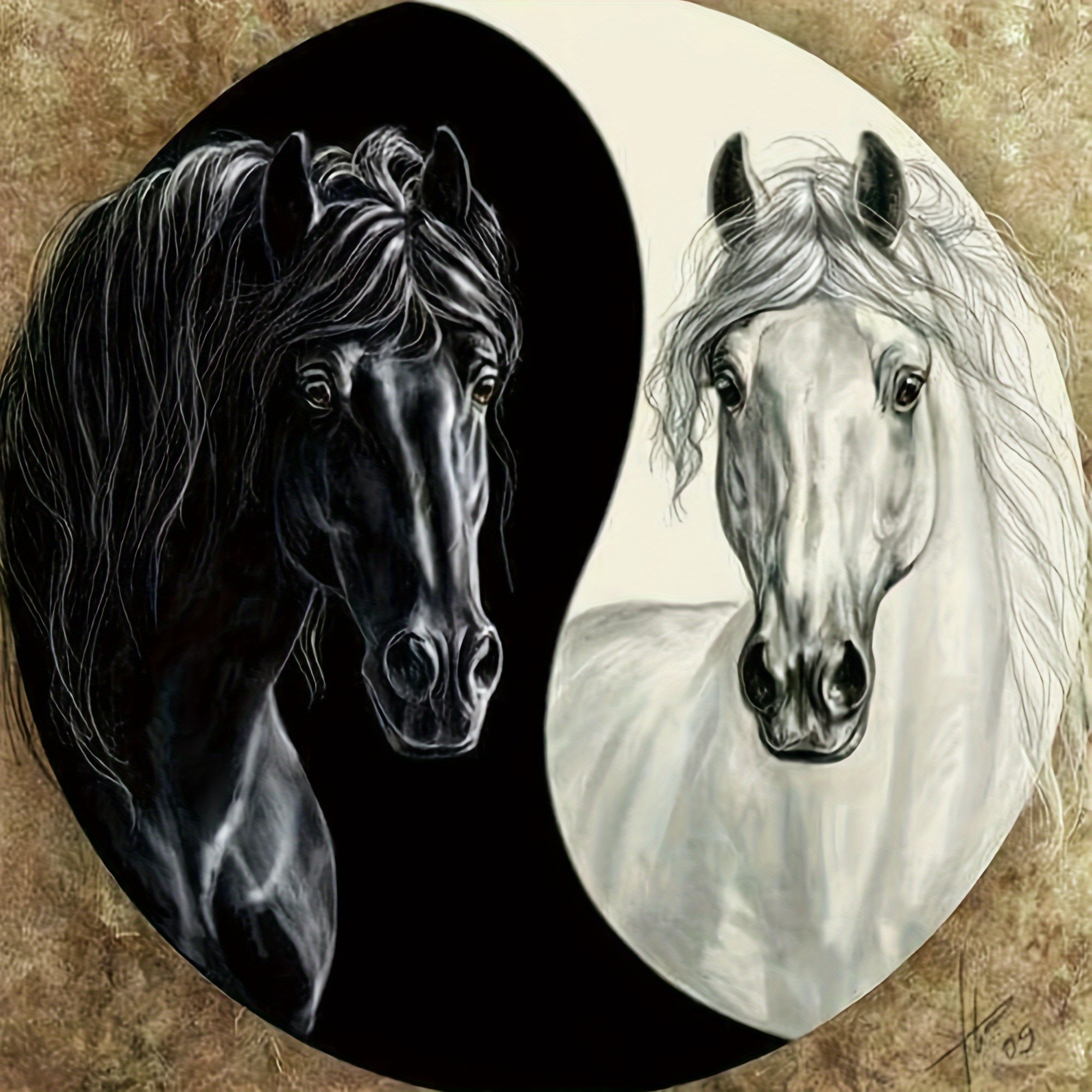 Kit Pintura Diamantes Caballo Blanco Negro 5d Diamond Art - Temu