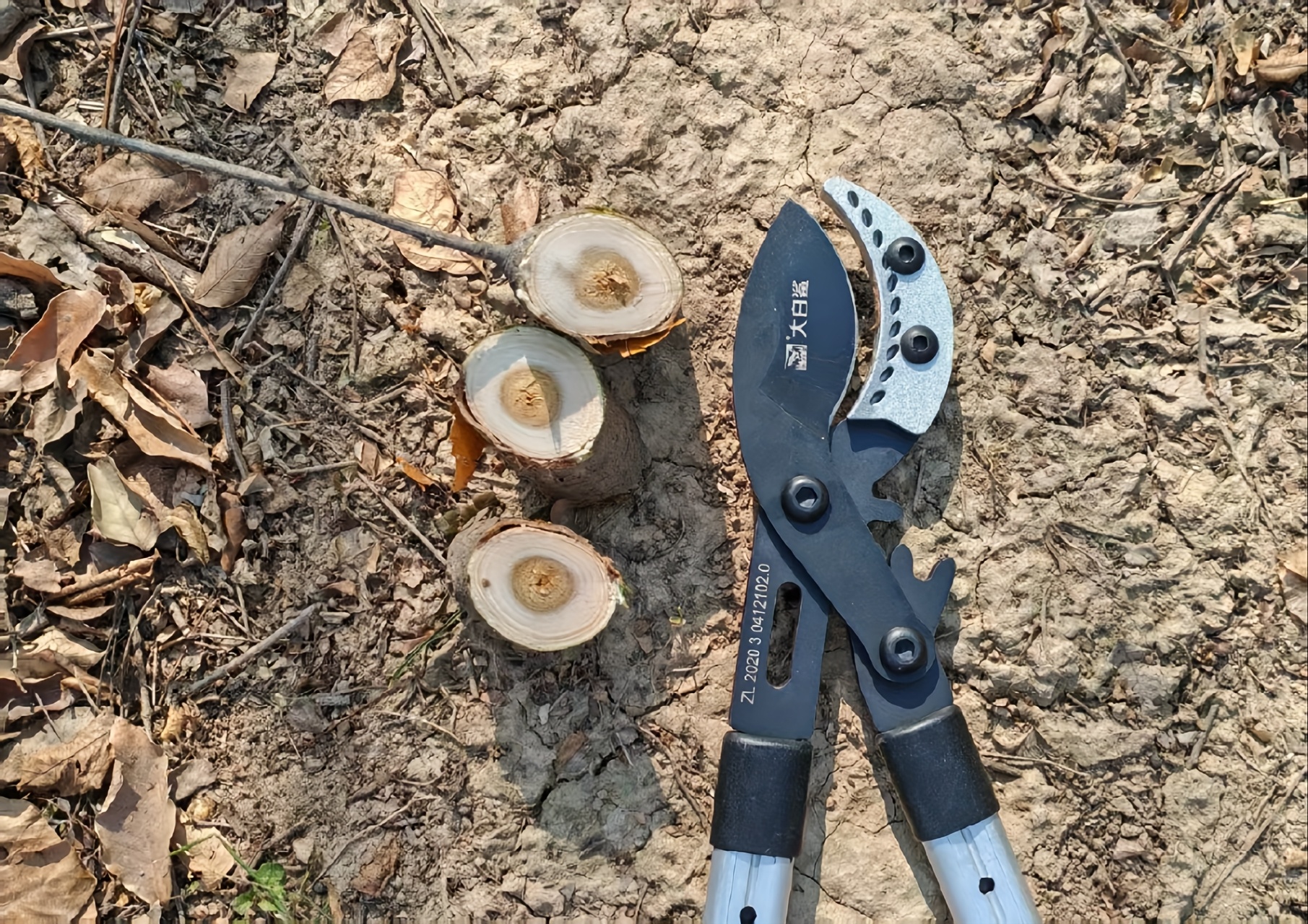 Een meter telescopische krachtige schaar met hoge kwaliteit koolstalen messen, ambidextrous, constructie van mangaanstaal, perfect voor het knippen van dikke takken tot 5 cm dik, traditionele stijl, hoge takzaag voor moeiteloos knippen