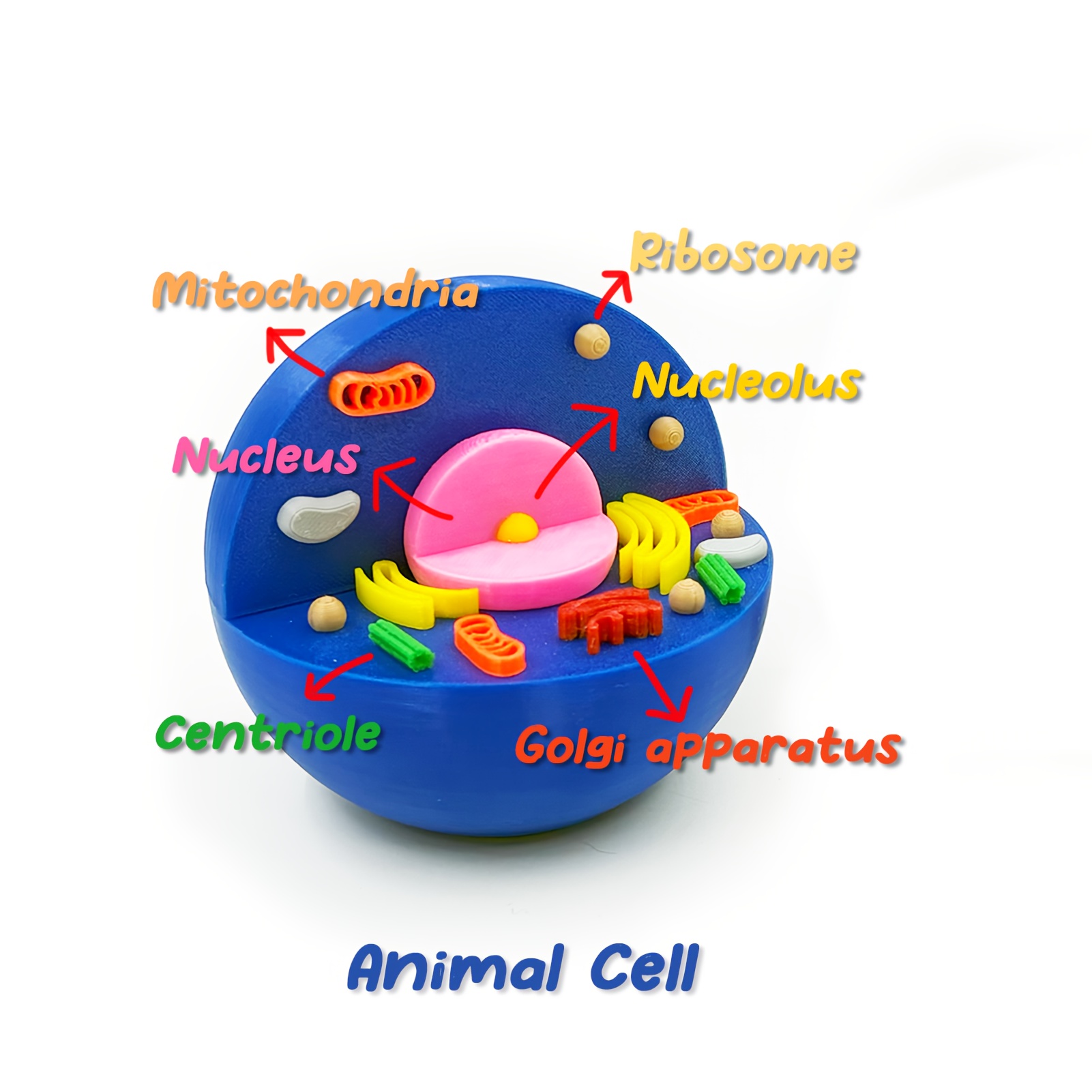 science sold on Temu United States