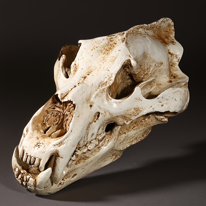 realistic resin polar bear skull model lifelike arctic - Temu Spain