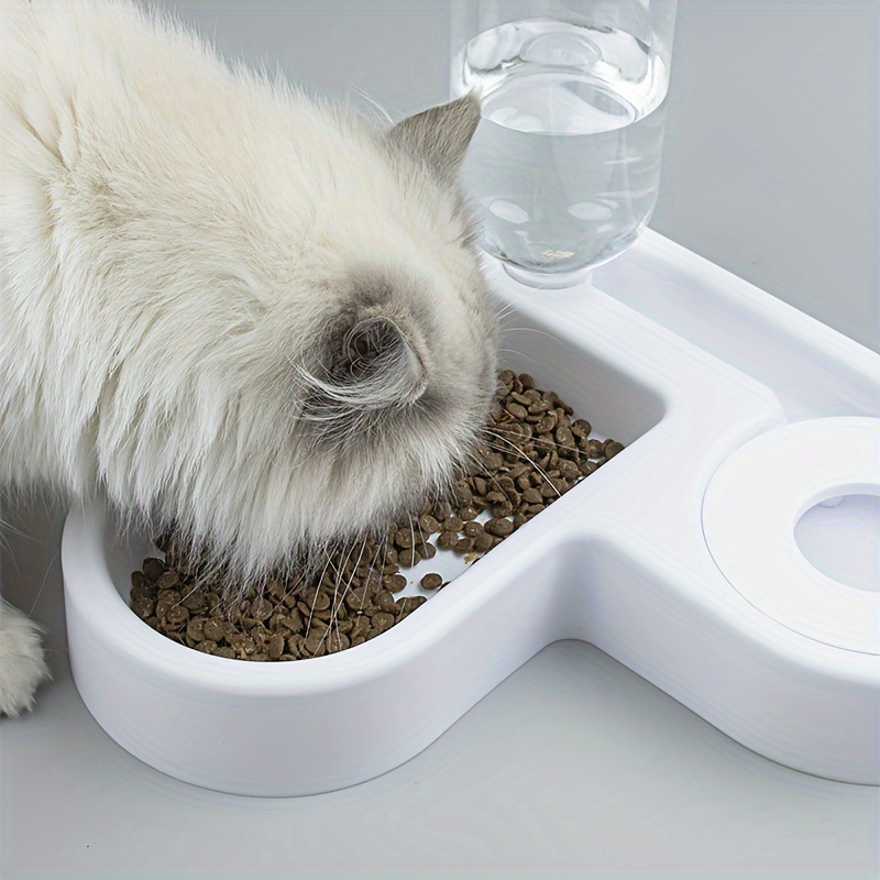 Homemade Self Feeding Cat Dish Self Feeding Cat Dish New Arrivals