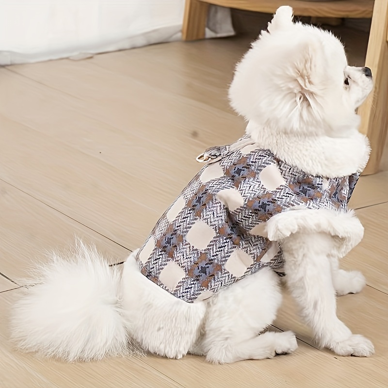 

Pet , Dog , Pet - Clothes For