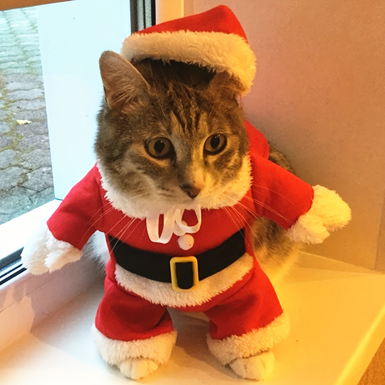 

For Small And , Polyester, Christmas Pet Outfit, Pet -up, , Pet Accessories, Pet Clothing