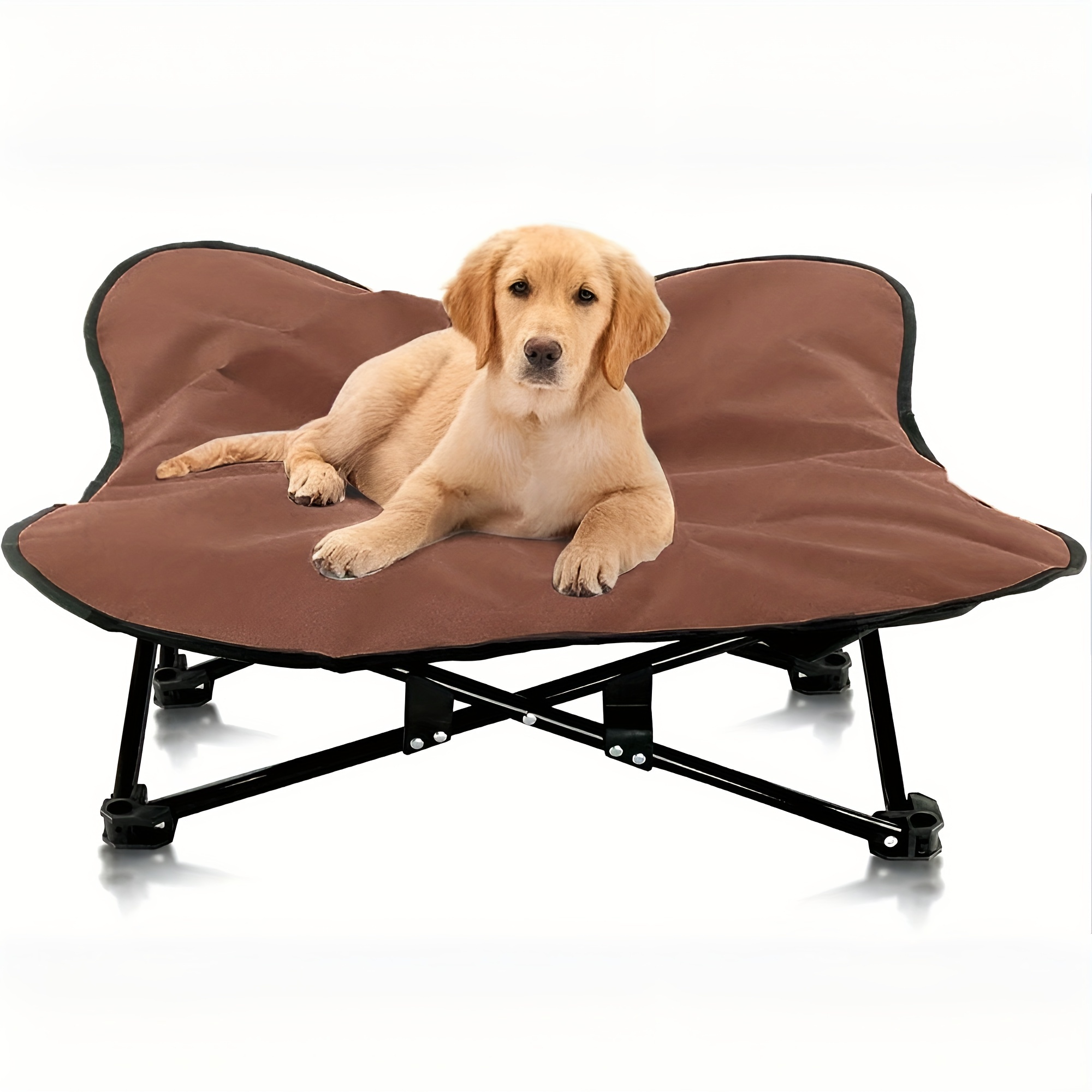 elevated folding pet bed