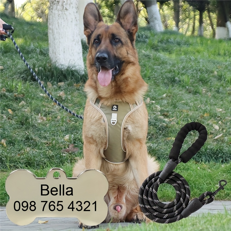 Custom Dog Harness with Engraved Pet ID Tag and Leash Set