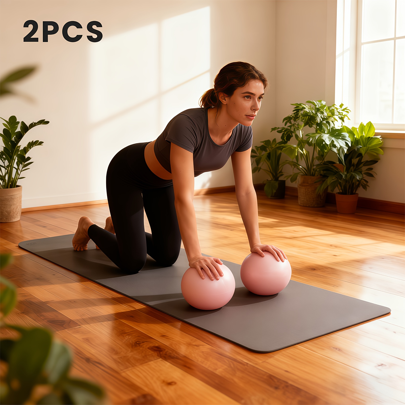 E-shop 2 Stück Kleine Trainingsbälle, 8,66 Zoll Pilatesbälle für Stabilität, Barre, Yoga, Core Ball