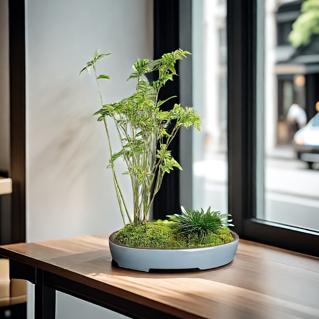 magnetic bonsai Levitating Air Bonsai Pot Rotation Flower Pot Planters Magnetic Suspension Floating Pot Potted Plant Home Decor SPAIN / Walnut base / AU Plug