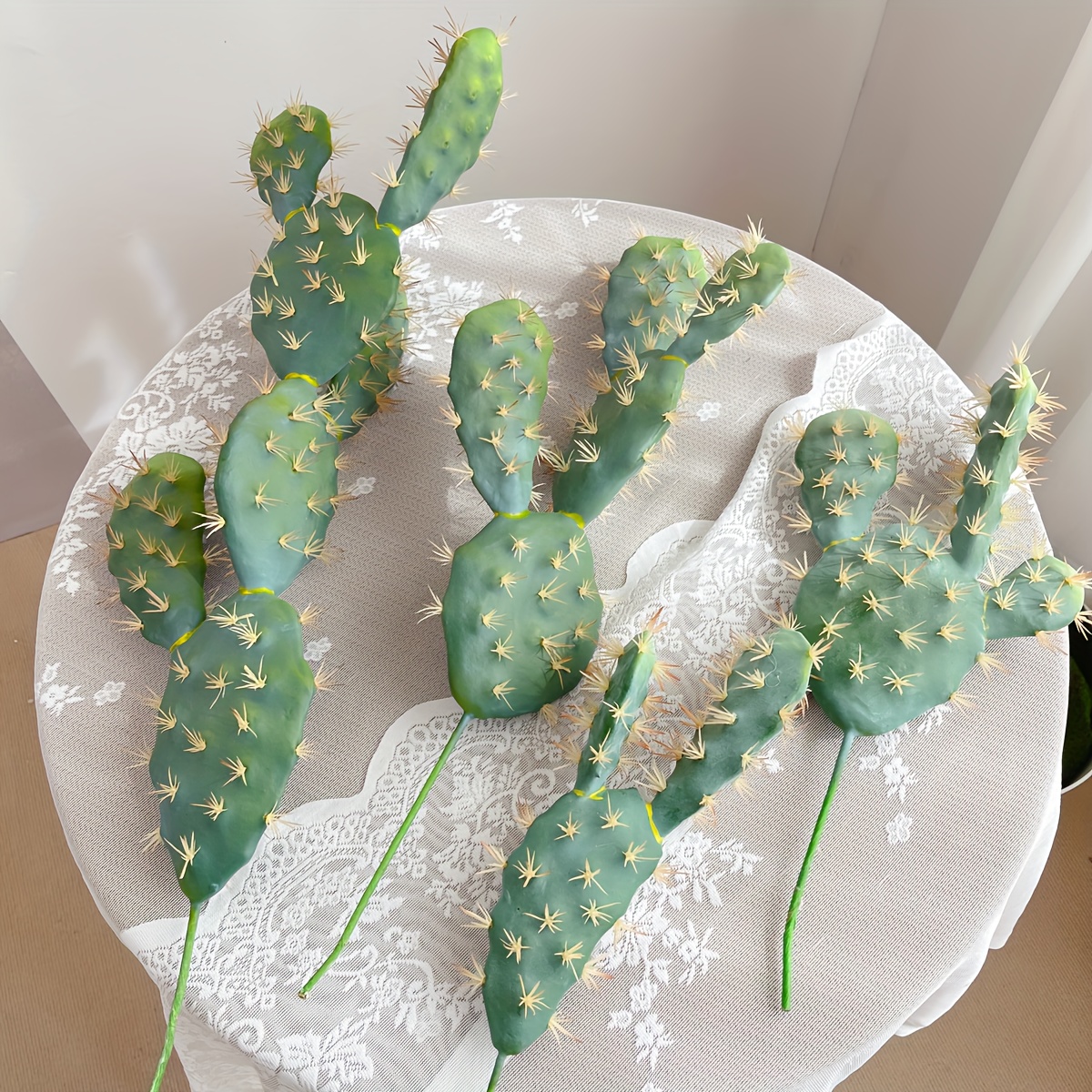 monstera adansonii Monstera Adansonii Albo Variegata