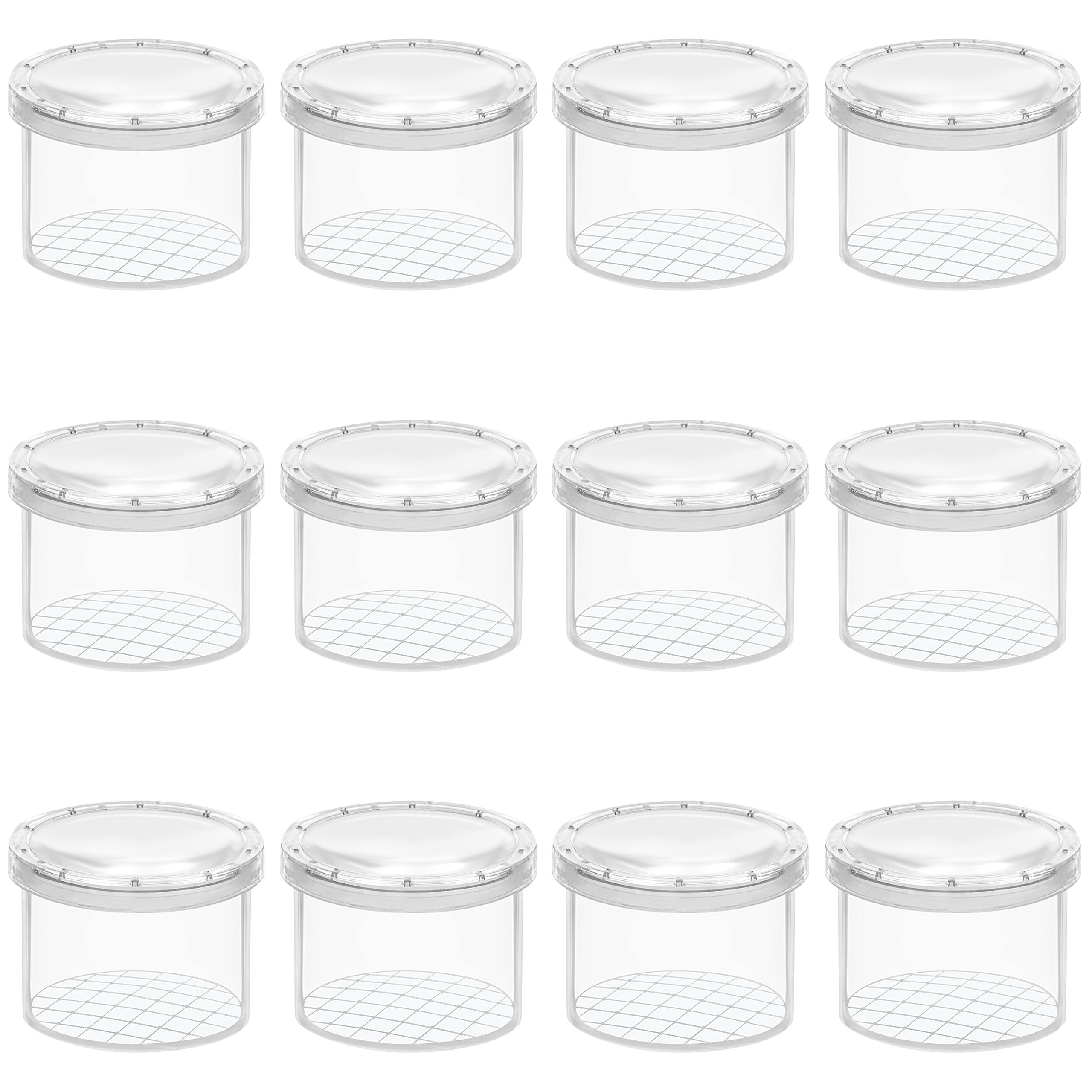 12pcs Plastic Insect Boxes with Lids, Mesh Insect Observation Containers, Reusable Insect Keeping Cases, for Butterfly, Ladybug, Grasshopper, Cricket, Ant, Bee, Animal Enclosures for Scientific Study and *