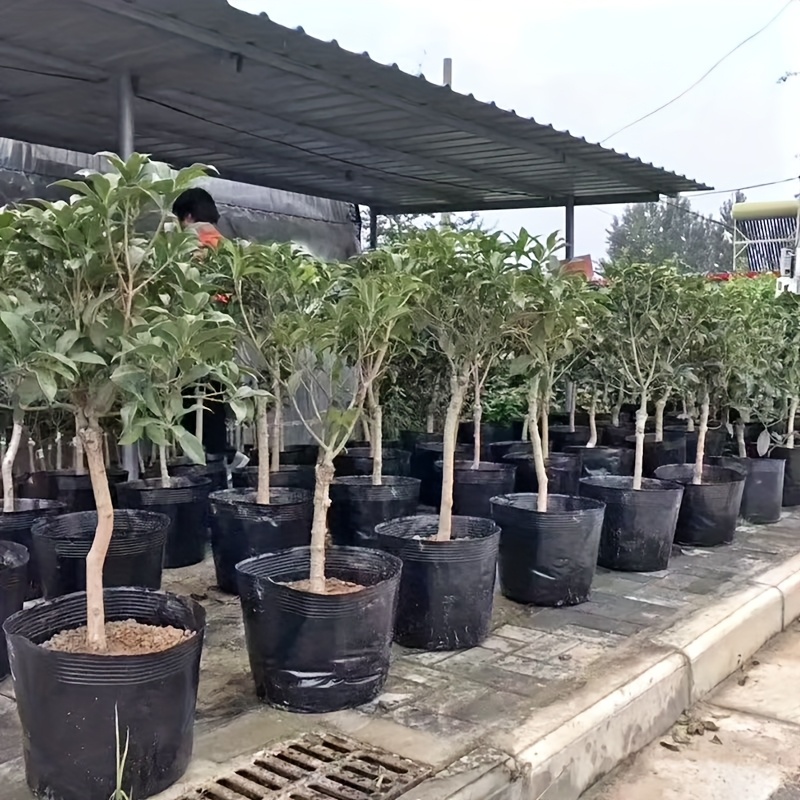   de pe engrosada,     para plantas,   desechable,   para sandías, frutas, árboles, flores y plantas verdes [con orificios transpirables en la parte inferior y  ].   producto es   y   para el transplante.