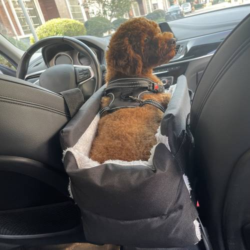 Portable Pet Travel Carrier for - Durable Polyester Square Design with Ergonomic Handle, Moisture-Proof & -Retaining Cushion, Multi-Use Indoor/Outdoor Use for Small Breeds, Dog Travel Carrier, Indoor Pet Bed, Stylish Pet Accessory, Secure Pet Restraint