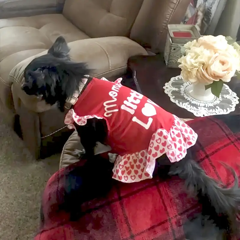 cute dog dresses for christmas Amazon.com : Dog Christmas Dress Dog Christmas Costumes Girl Snowman Stretchy Pet Dress Funny Pet Costumes Puppy Clothes with Bowtie Outfit for Small Dogs Cats Puppy(S) : Pet Supplies