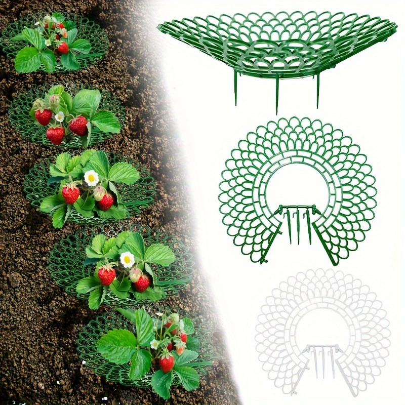 

8 Packs, Strawberry Plant Support Strawberry Growing Racks With 4 Sturdy Legs Strawberry Growing Frame Keep Berries Clean For Indoor Outdoor Garden Plants