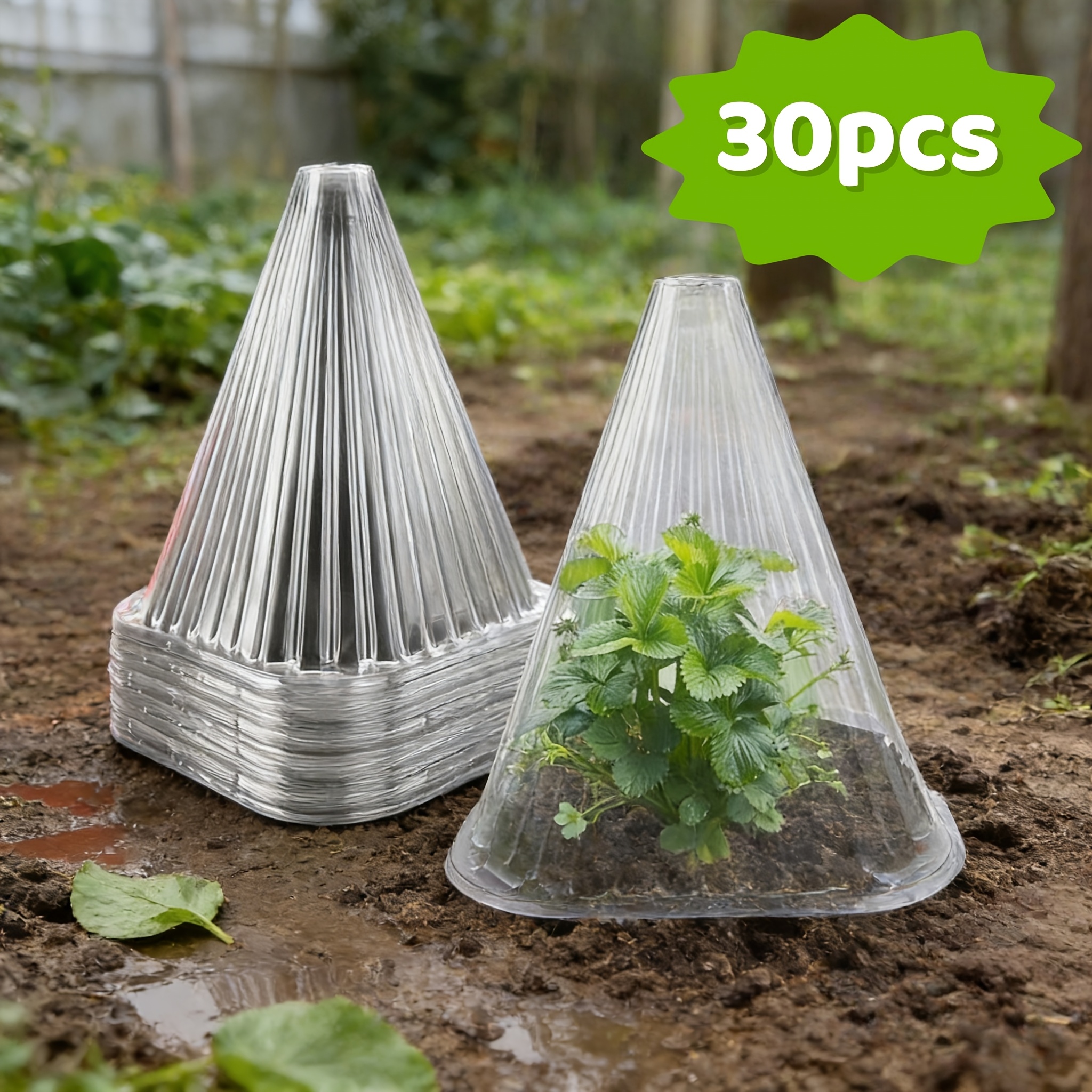 TEMU 30/70 piezas Cubiertas transparentes reutilizables para plantas, protección contra el frío y el helado, cubiertas para exteriores fáciles de