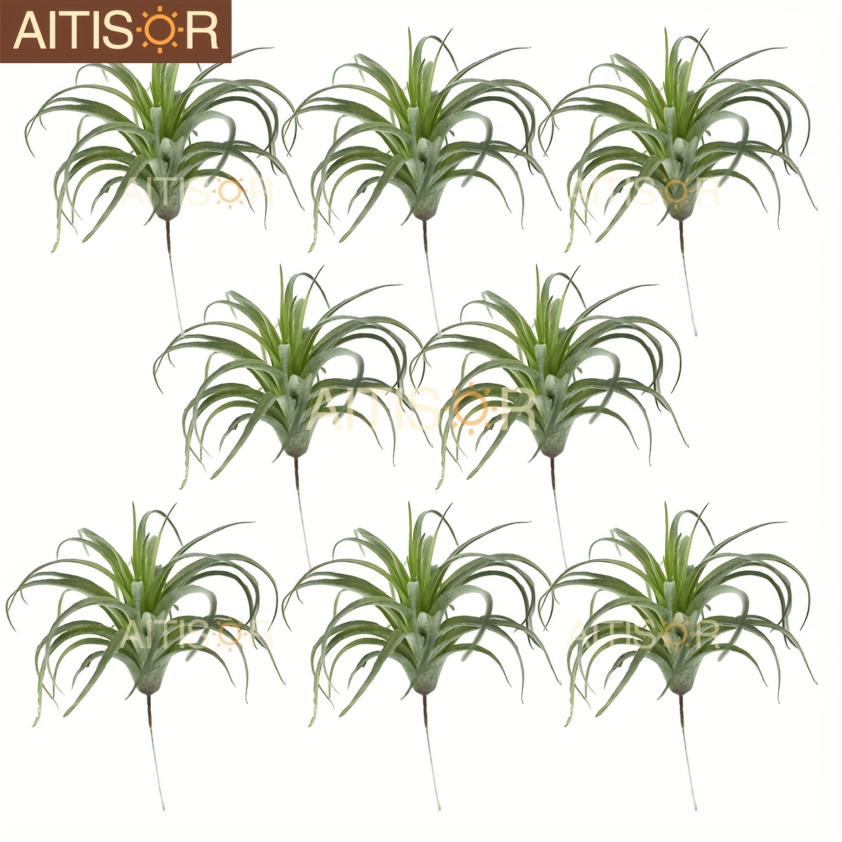 Set of 8 * Succulent Plants, Air Plants, Artificial Greenery for Home  Terrariums And Office Decoration