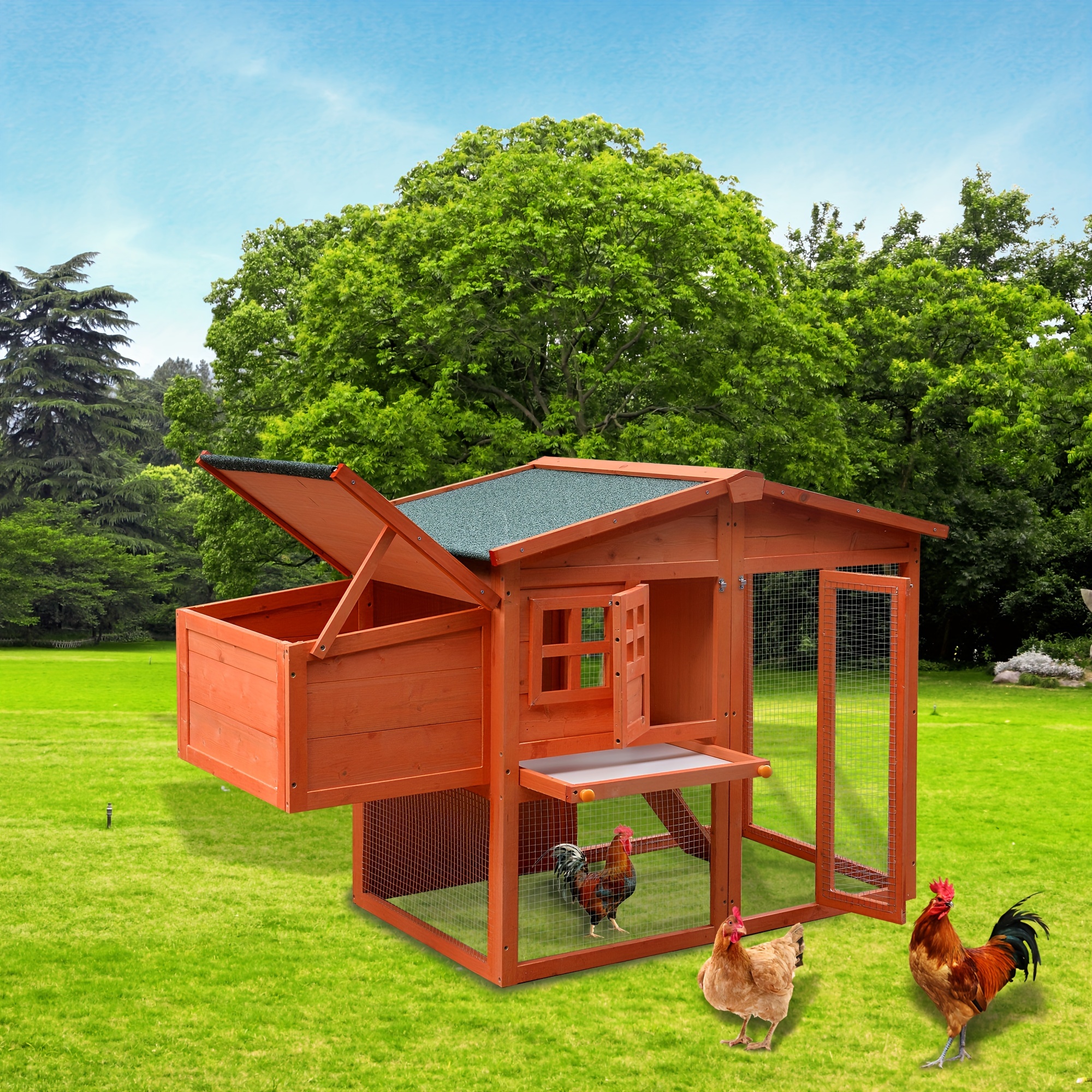 my-chicken-coop-picture