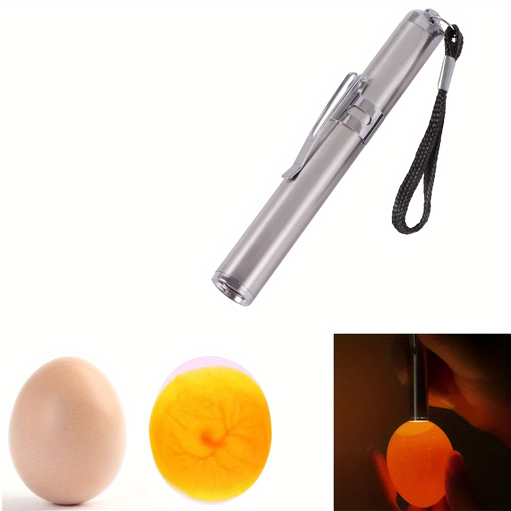 

Stainless Steel Egg Tester, Led Egg Development For Bird , Handheld Checking Device - 1 Pack (batteries Not Included)