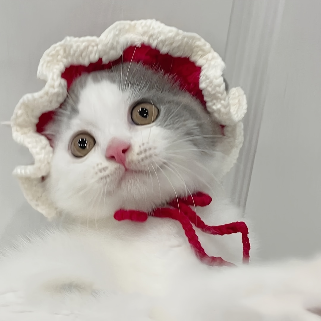 Cat Dog Pet Hat Headgear Jewelry Cat Dog Handmade Wool Knitting
