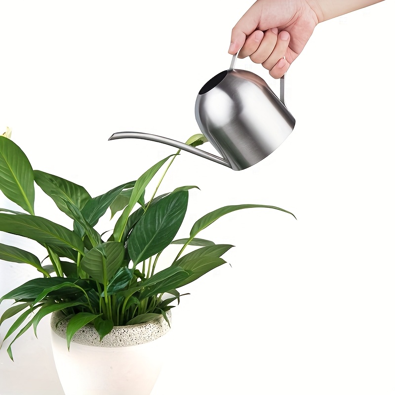 Image of Small Watering Can For Indoor Plants Stainless Steel Bonsai Watering Can Mini Metal (15oz/450ml)